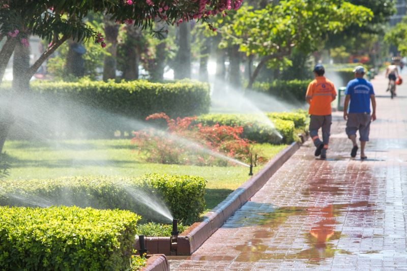 Yard Irrigation Installation