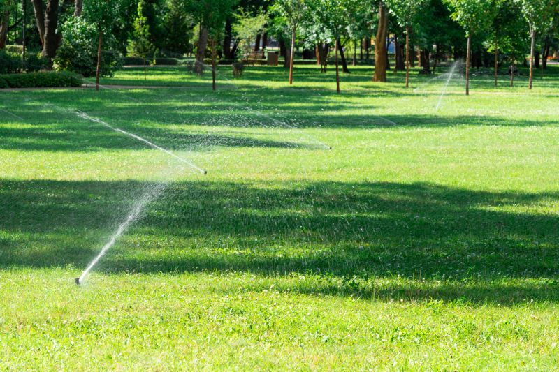 Lawn Irrigation Installation